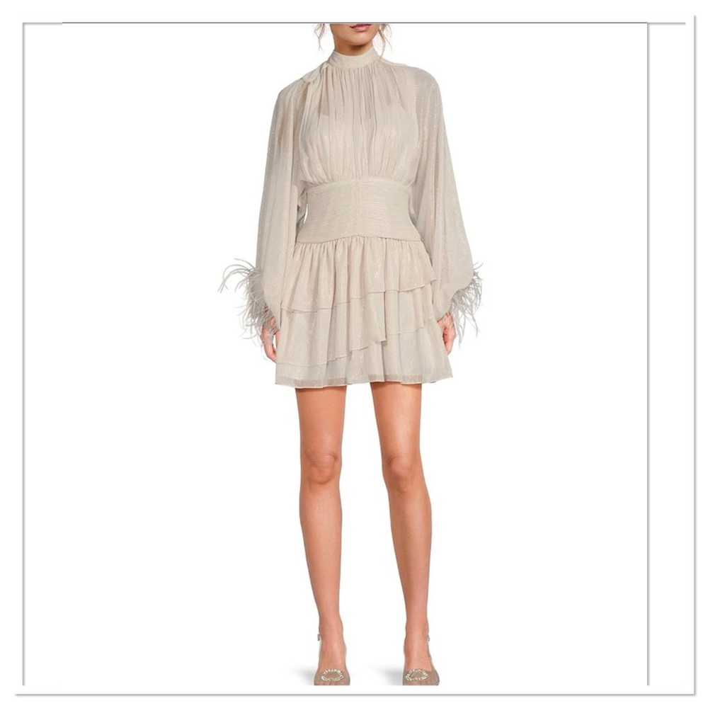 NWT A Loves A Metallic Chiffon Feather Trim Mini Dress Size Small